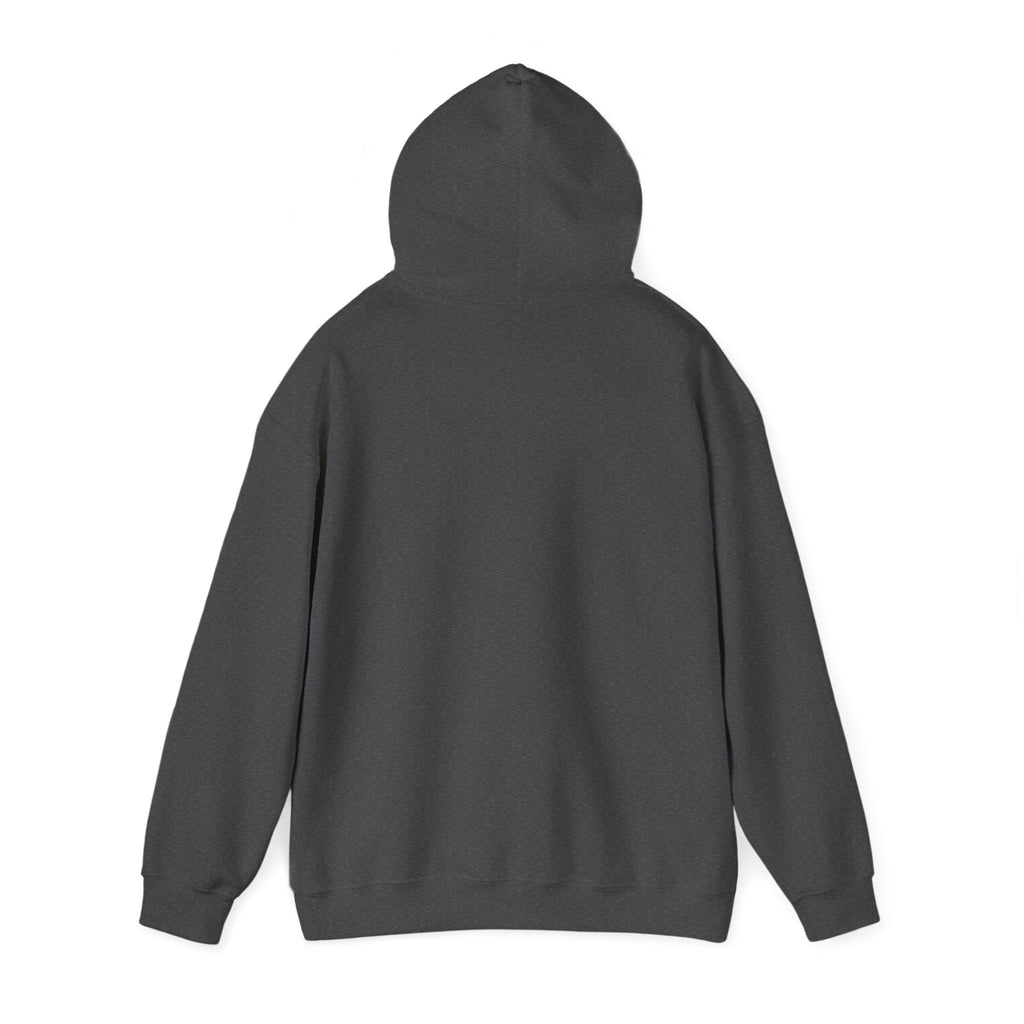 Ranch Bandit Hoodie – Funny Cowboy Skunk Graphic Sweatshirt